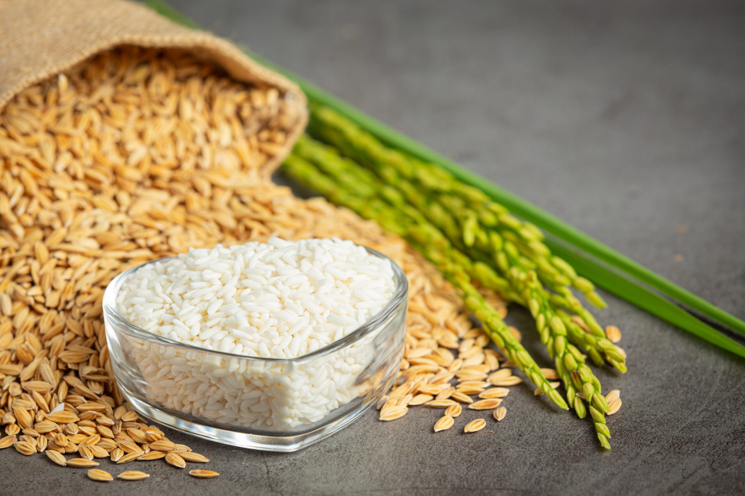 a sack of rice seed with white rice on small glass bowl and rice plant